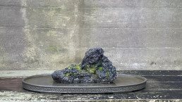 Piedras con luz de invierno Luis Vallejo