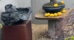 Piedras con luz de invierno Luis Vallejo