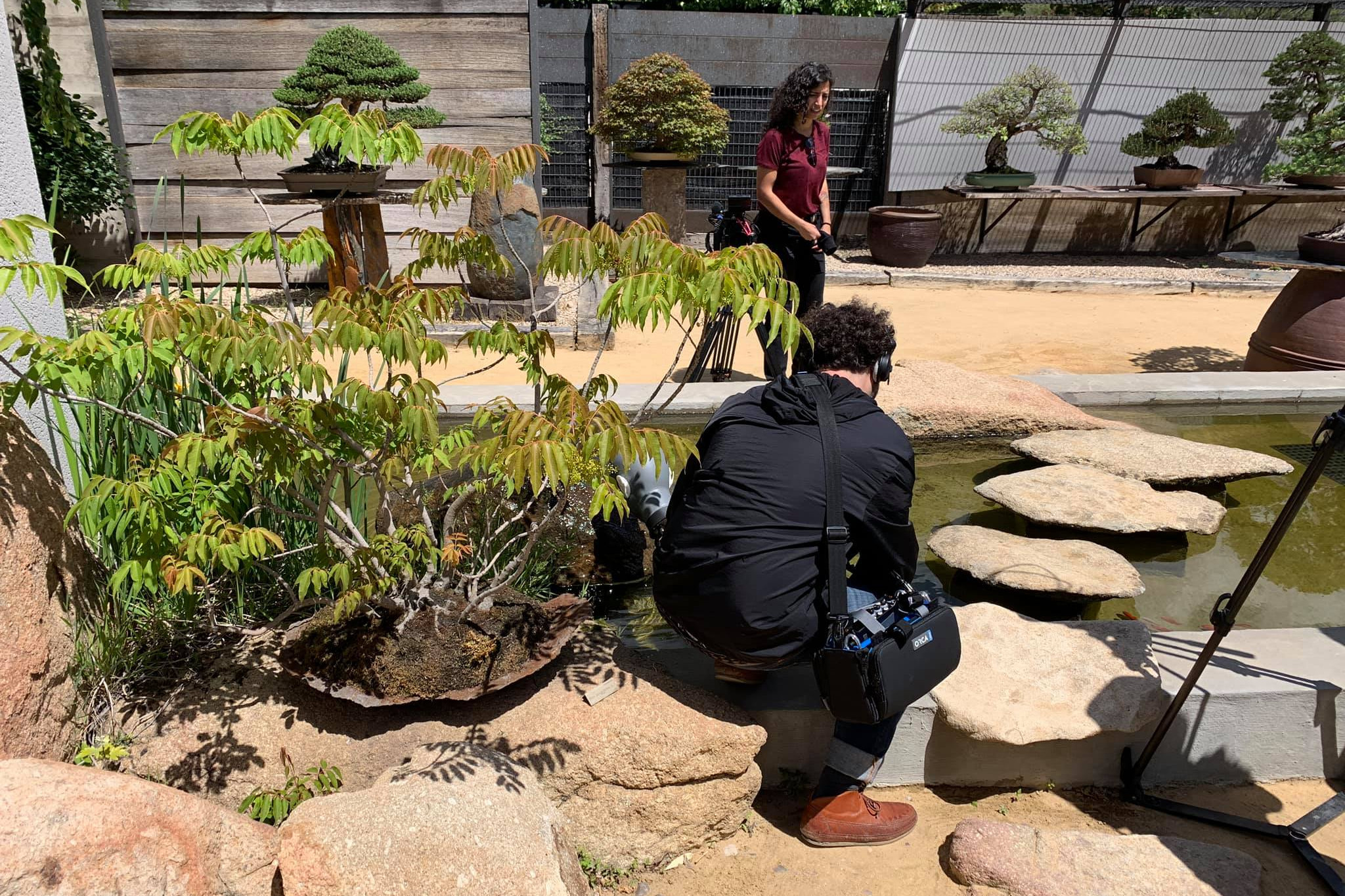 Antonio Chávez. Sonidos en el Museo Bonsái Luis Vallejo