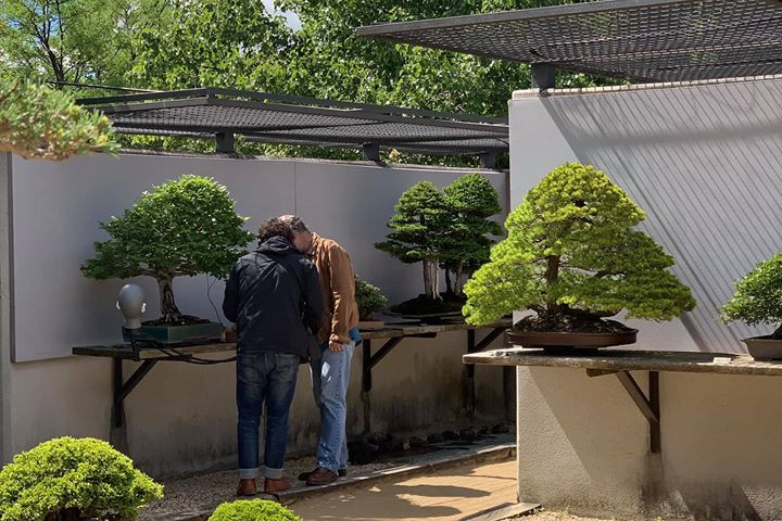 Antonio Chávez. Sonidos en el Museo Bonsái Luis Vallejo