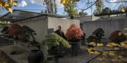 Un trozo de Japón a 25 kilómetros de la capital. FOTO: GONZALO PÉREZ MATA