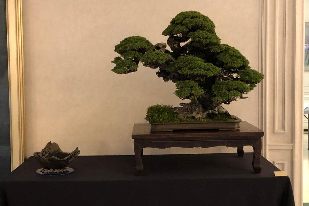 Celebración Natalicio del Emperador. Luis Vallejo