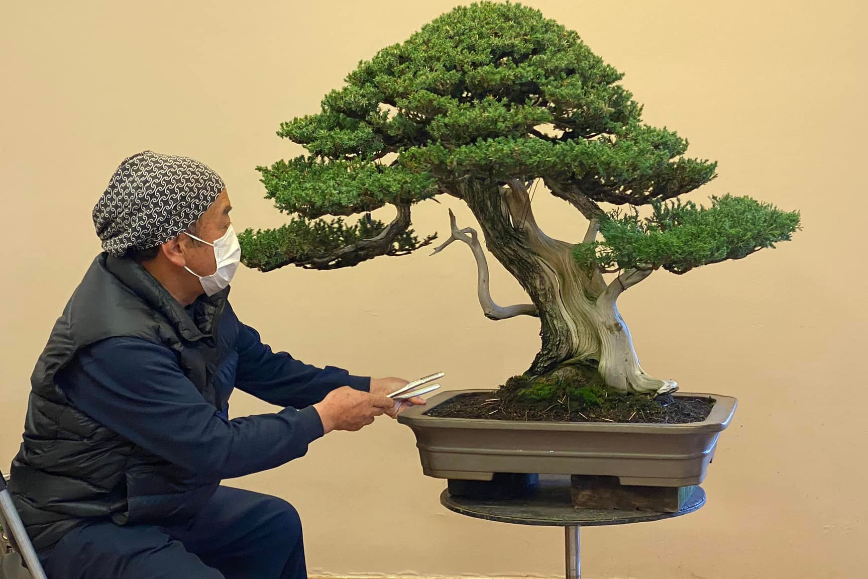 Demostración del Maestro Kazuo Yajima