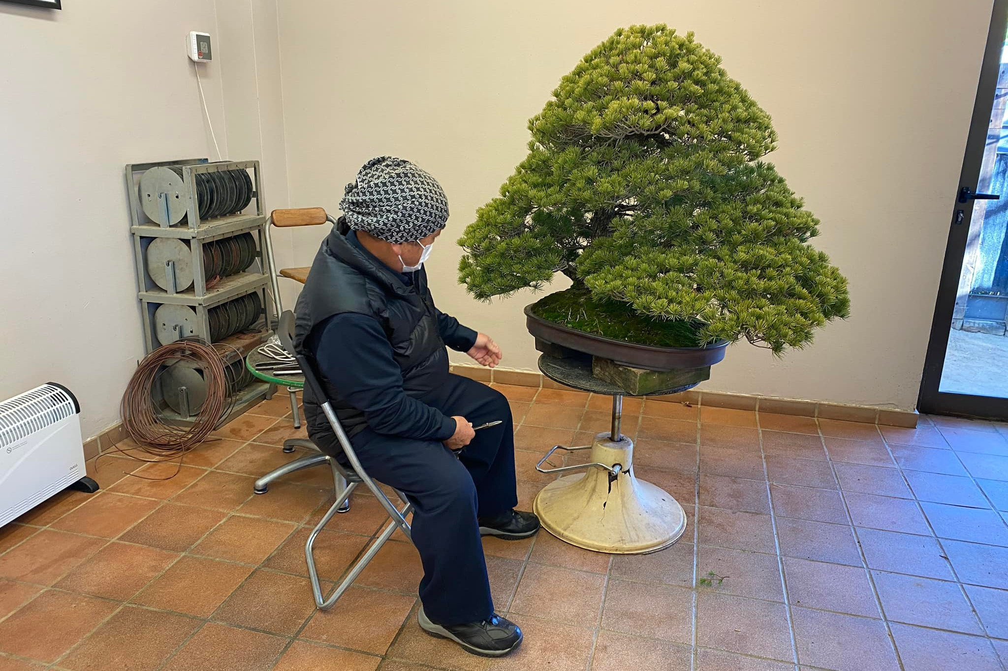 Demostración del Maestro Kazuo Yajima