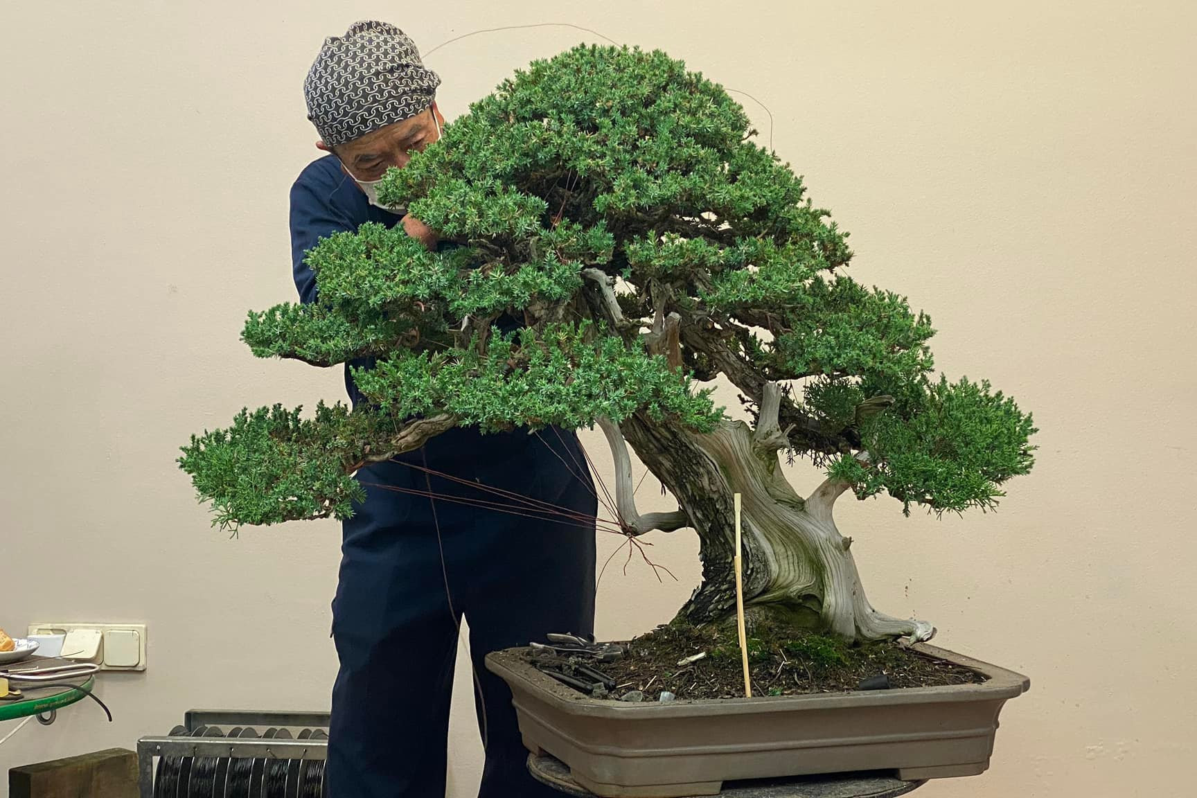 Demostración del Maestro Kazuo Yajima