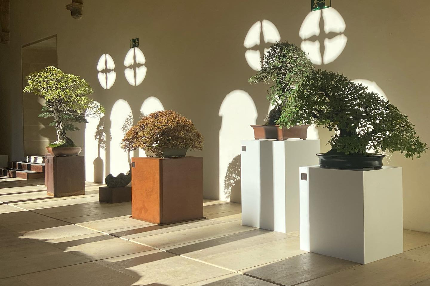 “a los pinos el viento “ exposición del 31 de octubre al 5 de noviembre. Museo San Telmo San Sebastián.