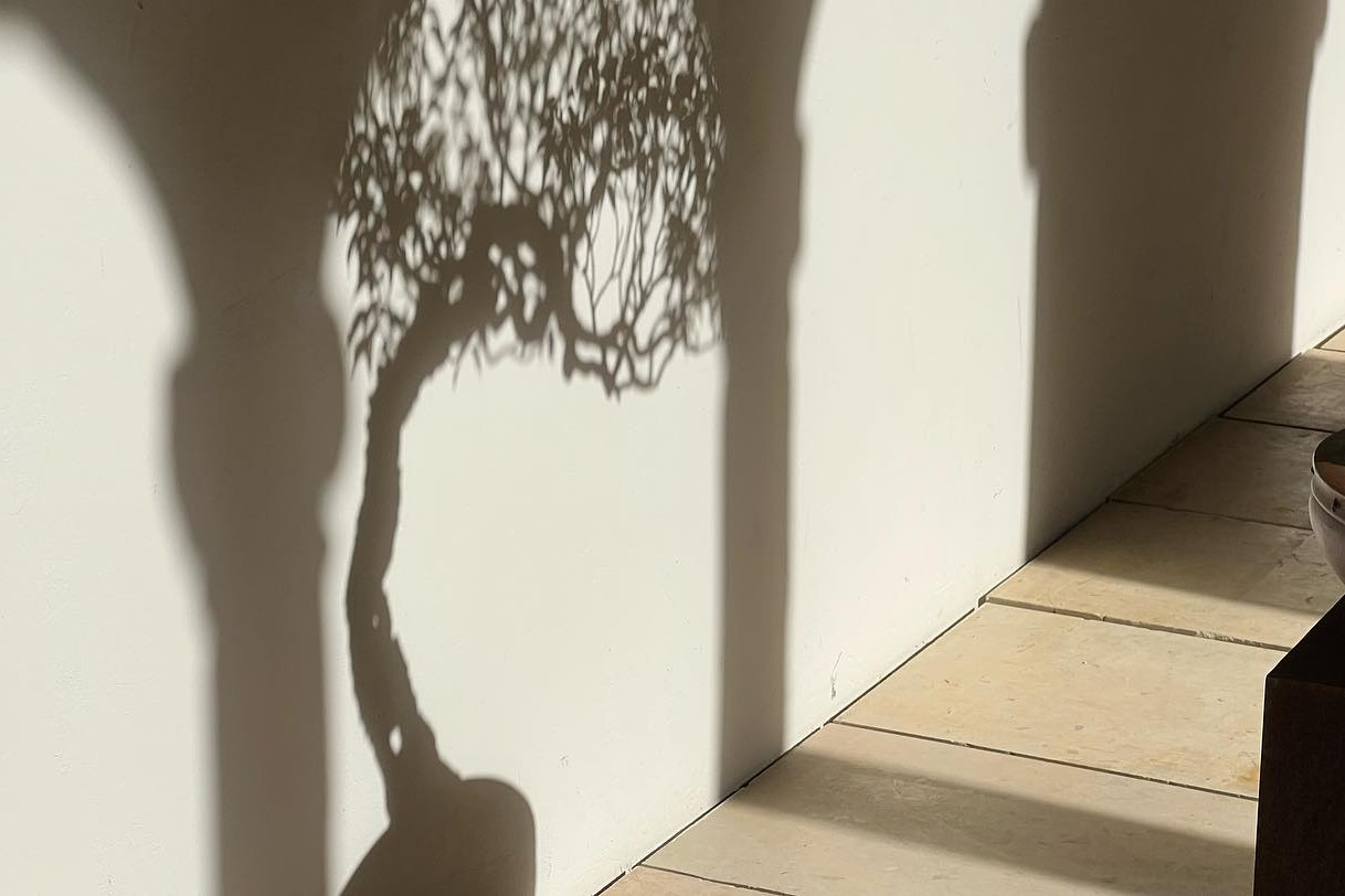 “a los pinos el viento “ exposición del 31 de octubre al 5 de noviembre. Museo San Telmo San Sebastián.