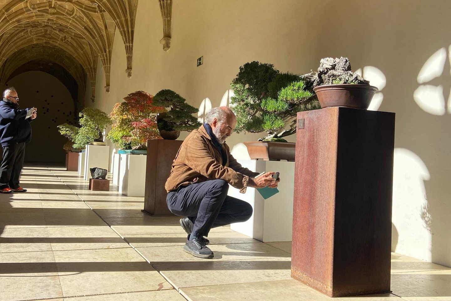 “a los pinos el viento “ exposición del 31 de octubre al 5 de noviembre. Museo San Telmo San Sebastián.