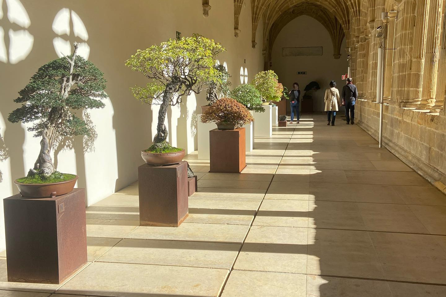 “a los pinos el viento “ exposición del 31 de octubre al 5 de noviembre. Museo San Telmo San Sebastián.