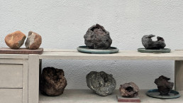 Piedras y arboles en el jardín Bonsai Luis Vallejo