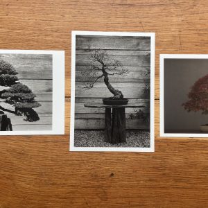 Pack de 3 postales