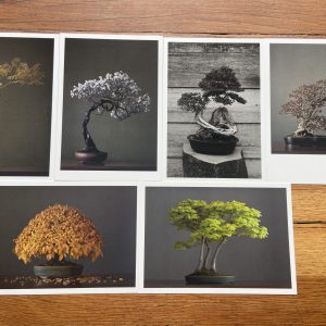 Pack 6 postales