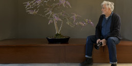 Fernando Maquieira en el tokonoma del jardín Bonsái Luis Vallejo