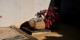 Jardín Bonsai Luis Vallejo en Alcobendas, Madrid