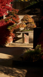 Jardín Bonsai Luis Vallejo en Alcobendas, Madrid