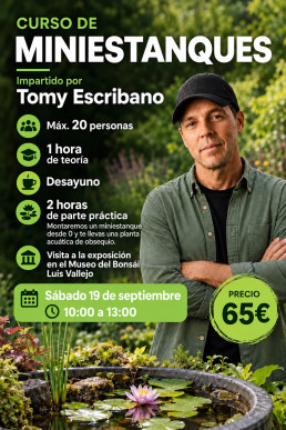Curso de miniestanques impartido por Tomy Escribano, septiembre 2026